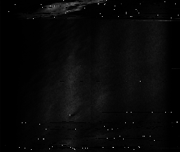 ascat_grayscale_ch6.png